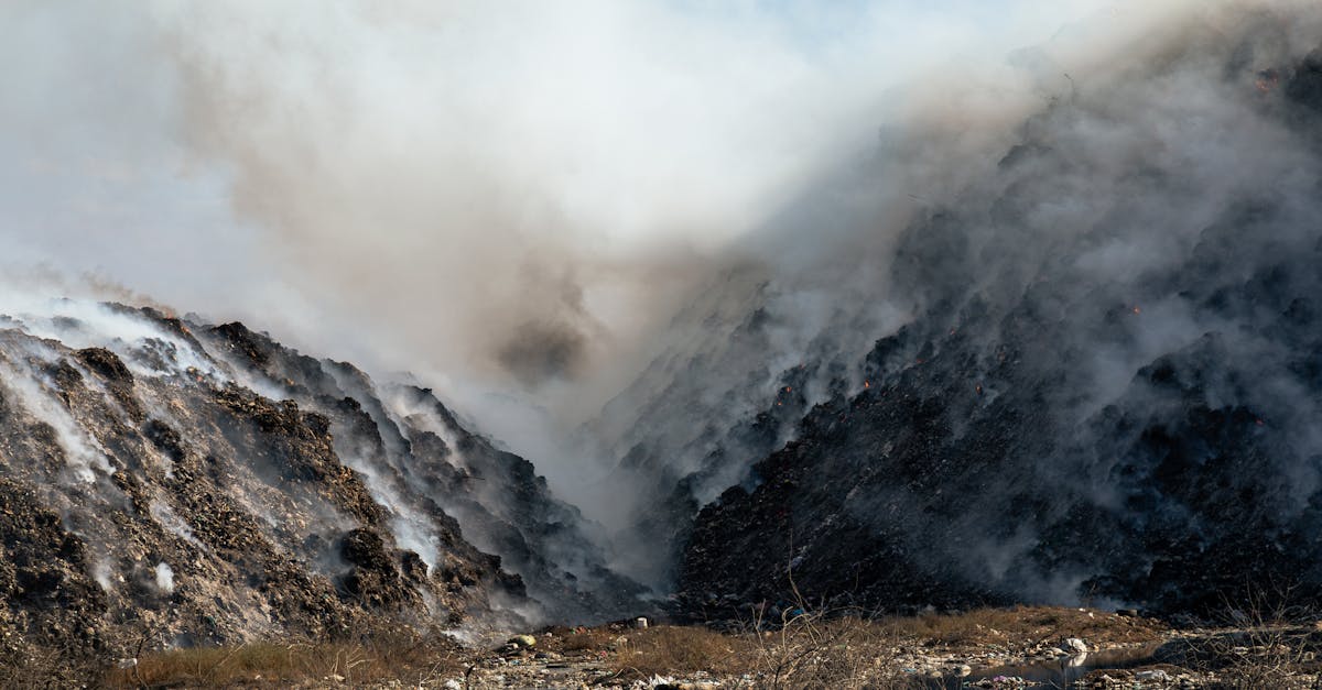 How do professionals remove smoke odor?